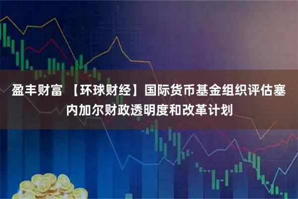 盈丰财富 【环球财经】国际货币基金组织评估塞内加尔财政透明度和改革计划